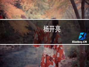 杨开亮(关于杨开亮的简介)