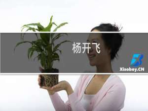 杨开飞(关于杨开飞的简介)