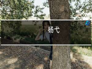 杨弋(关于杨弋的简介)