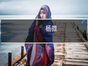 杨微(关于杨微的简介)