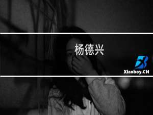 杨德兴(关于杨德兴的简介)
