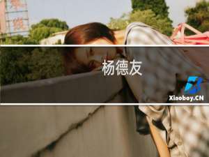 杨德友(关于杨德友的简介)