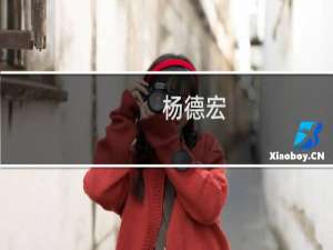 杨德宏(关于杨德宏的简介)