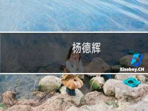 杨德辉(关于杨德辉的简介)