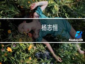 杨志恒(关于杨志恒的简介)