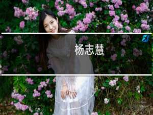 杨志慧(关于杨志慧的简介)