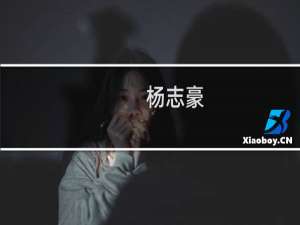杨志豪(关于杨志豪的简介)