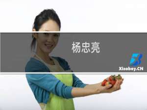 杨忠亮(关于杨忠亮的简介)