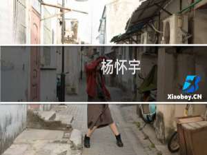 杨怀宇(关于杨怀宇的简介)