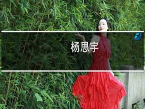 杨思宇(关于杨思宇的简介)