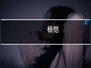杨恺(关于杨恺的简介)