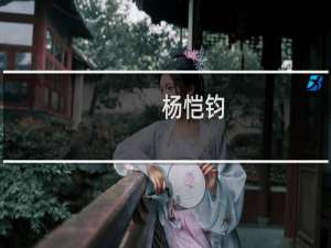 杨恺钧(关于杨恺钧的简介)