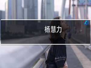 杨慧力(关于杨慧力的简介)