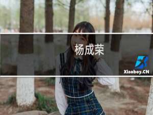 杨成荣(关于杨成荣的简介)