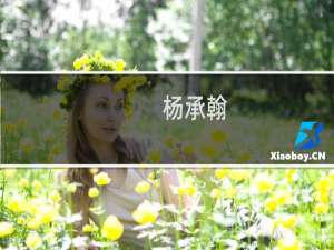 杨承翰(关于杨承翰的简介)