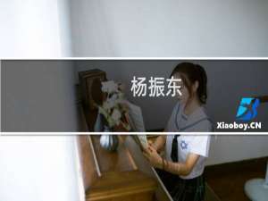 杨振东(关于杨振东的简介)