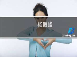 杨振峰(关于杨振峰的简介)