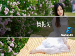 杨振涛(关于杨振涛的简介)
