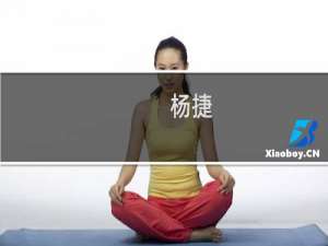 杨捷(关于杨捷的简介)
