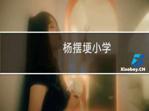 杨摆埂小学(关于杨摆埂小学的简介)