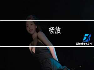 杨放(关于杨放的简介)