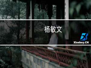 杨敏文(关于杨敏文的简介)