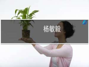 杨敏毅(关于杨敏毅的简介)