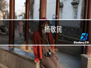 杨敬民(关于杨敬民的简介)