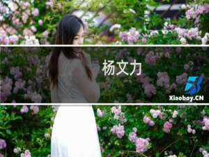 杨文力(关于杨文力的简介)