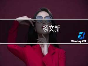 杨文新(关于杨文新的简介)