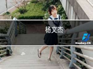 杨文杰(关于杨文杰的简介)