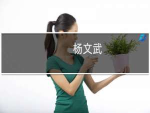 杨文武(关于杨文武的简介)