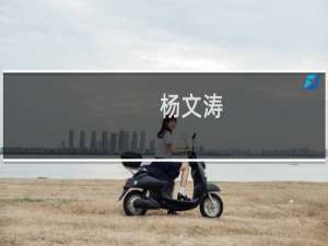 杨文涛(关于杨文涛的简介)