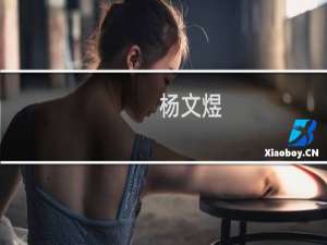 杨文煜(关于杨文煜的简介)