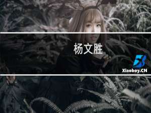 杨文胜(关于杨文胜的简介)