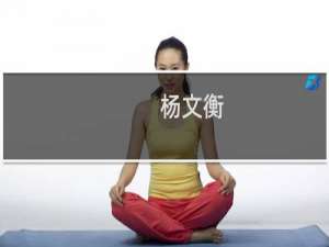 杨文衡(关于杨文衡的简介)