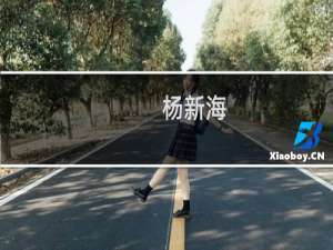 杨新海(关于杨新海的简介)