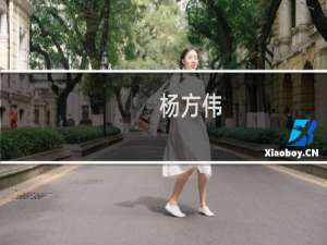 杨方伟(关于杨方伟的简介)
