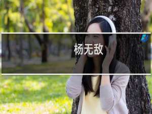 杨无敌(关于杨无敌的简介)