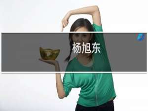 杨旭东(关于杨旭东的简介)