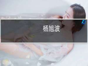 杨旭波(关于杨旭波的简介)