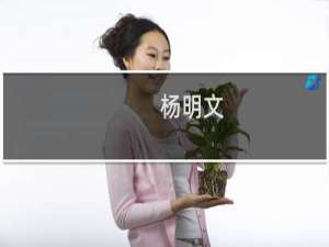 杨明文(关于杨明文的简介)