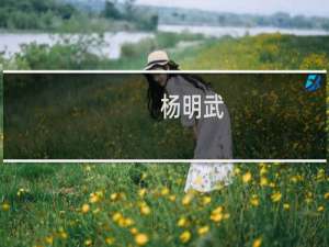 杨明武(关于杨明武的简介)