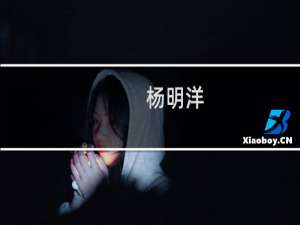 杨明洋(关于杨明洋的简介)
