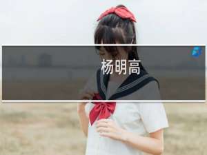 杨明高(关于杨明高的简介)