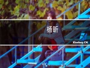 杨昕(关于杨昕的简介)