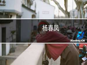 杨春凤(关于杨春凤的简介)
