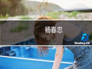 杨春忠(关于杨春忠的简介)