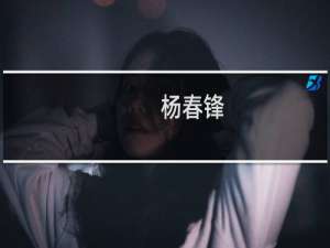 杨春锋(关于杨春锋的简介)