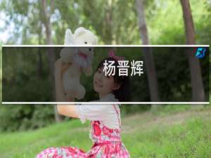 杨晋辉(关于杨晋辉的简介)
